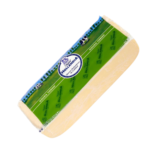 Queso Gouda 3.1kg Ap