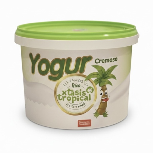 Yogurt Éxtasis (3L)